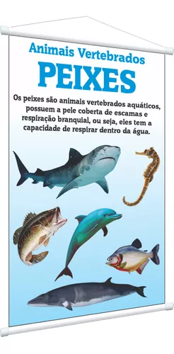 Defina Seu Cardápio da Semana